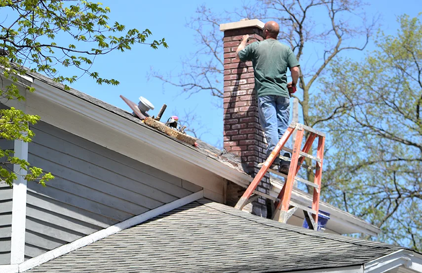Chimney & Fireplace Inspections Services in Universal City, TX